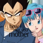 Vegeta and Bulma