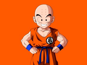 How old is Krillin?