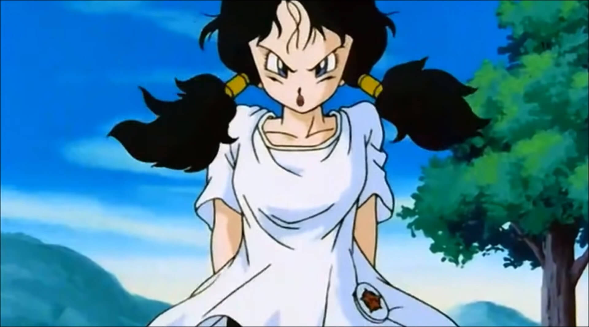 Videl, Dragon Ball Wiki